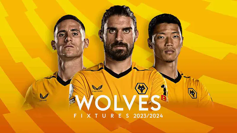 Chủ sở hữu cùng bàn lãnh đạo Wolves