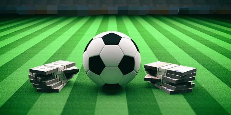 Tổng quan về thể thao Ricwin