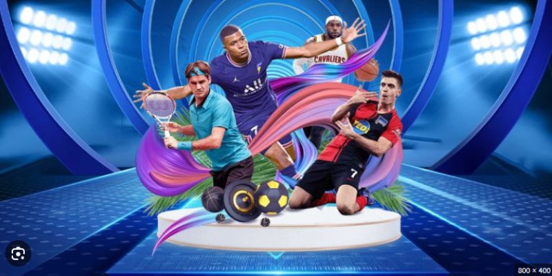 Những bộ môn thể thao nổi bật thu hút lượt cược cao